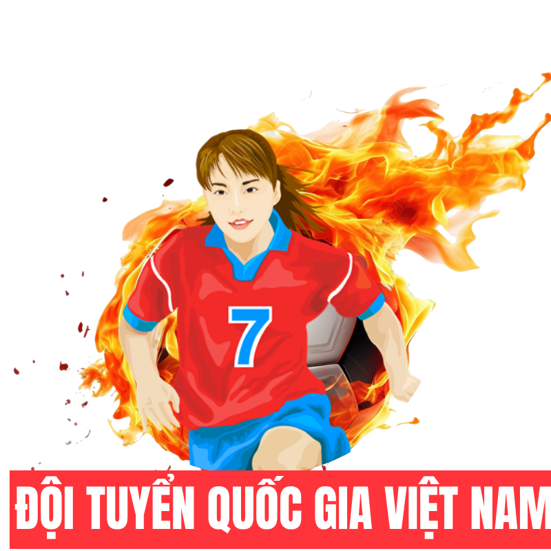 Đội tuyển quốc gia Việt Nam